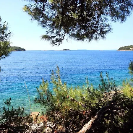 Seaside Holiday House Prizba, Korcula - 9472 Casa de Férias *